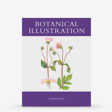 Botanical Illustration : Book by Valerie Oxley